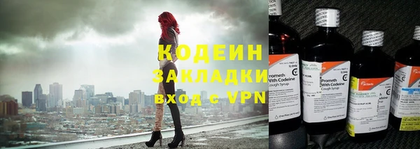 прущие грибы Балахна