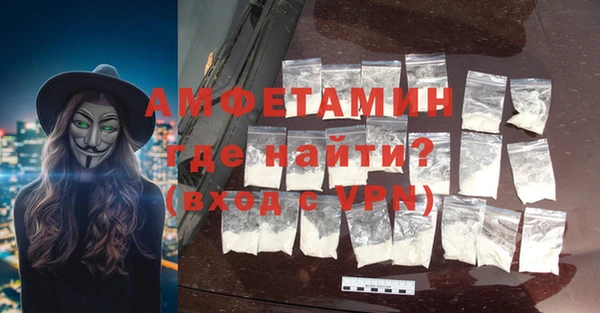 прущие грибы Балахна