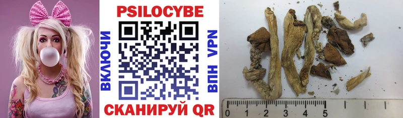 где купить наркоту  Наволоки  Псилоцибиновые грибы Cubensis 
